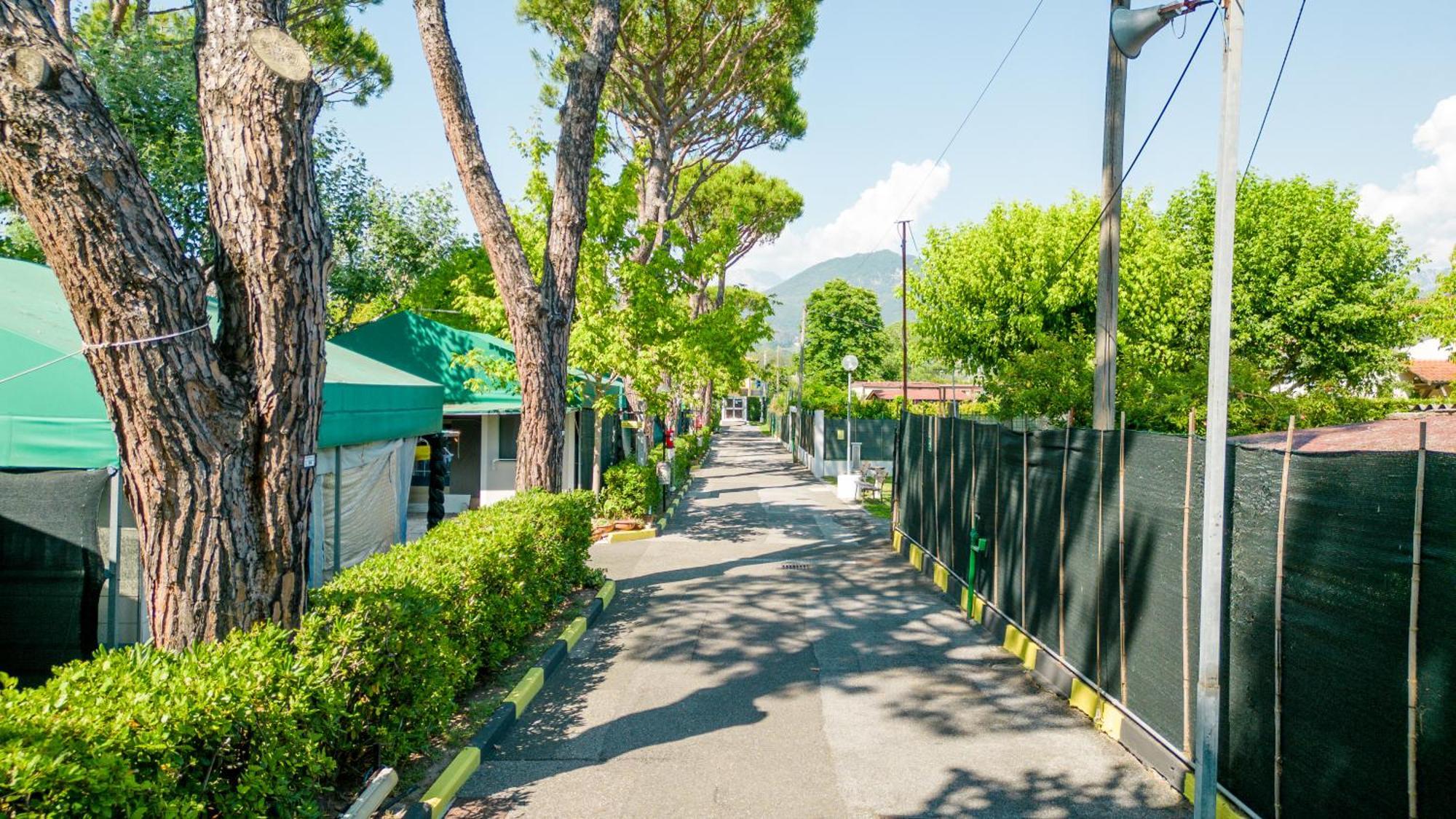 Camping Apuano Marina di Massa Kültér fotó