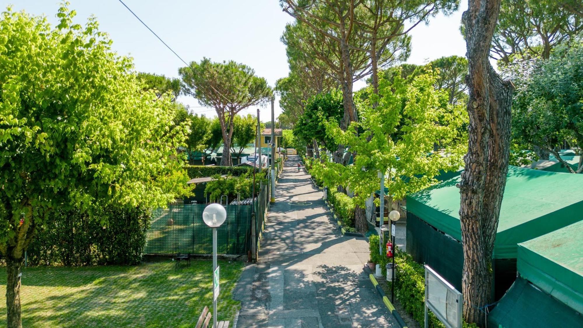Camping Apuano Marina di Massa Kültér fotó